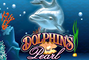 Dolphins